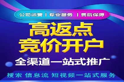 SEM竞价案例分析：提升广告投放效果